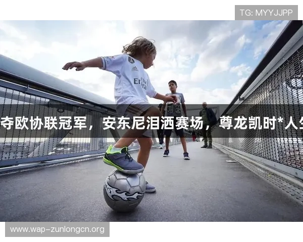 尊龙凯时网页版升级带来的新功能介绍,丰富你的游戏玩法和互动体验